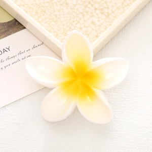 Close-up of a white and yellow plumeria shark hair clip on a minimalist tray with a card