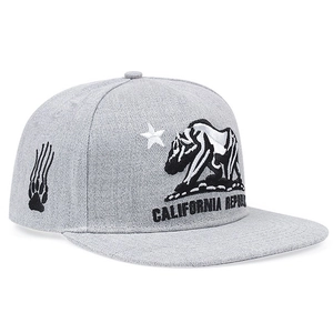 Macro detail of California Republic embroidery and claw mark on grey baseball cap