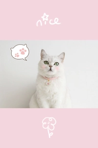 Detailed close-up of a pink leather pet collar featuring a golden paw print charm for cats