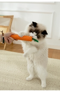 Λεπτομερής λήψη μιας γάτας ragdoll που δαγκώνει ένα παιχνίδι γάτας σε σχήμα καρότου