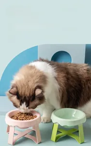 Pink and green elevated ceramic pet bowls with ergonomic stand for cat neck protection