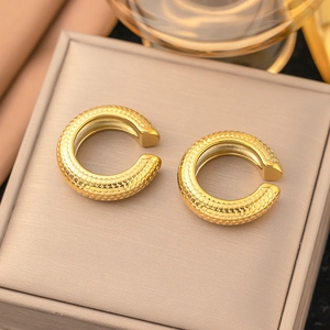 Golden titanium steel C-shape hoop earrings with fish scale texture on beige jewelry box