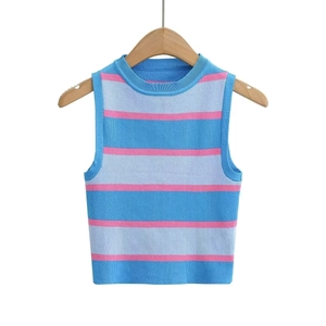 Close-up of pink and blue horizontal striped knitted sleeveless vest on a hanger