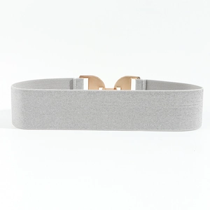 Close-up of golden H-shaped buckle on a silver elastic woven wide belt with texture