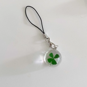 Macro shot of a transparent resin lucky four-leaf clover pendant with a black lanyard
