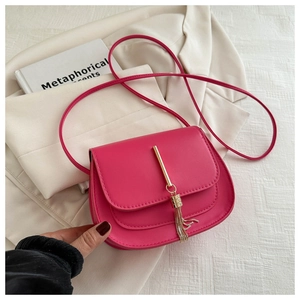 Close-up of pink leather saddle bag featuring gold metal bar and tassel detail
