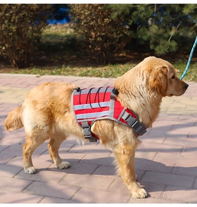 Detail view of red and grey pet backpack with reflective trim on a golden retriever