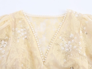 Detailed V-neckline of champagne mesh blouse with delicate pearl trim and sequins