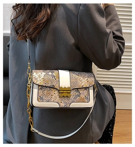 Detailed view of snake skin pattern texture and vintage gold metal lock on crossbody bag