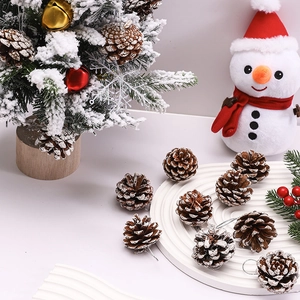Natural pine cones with white snow effect for Christmas tree and bouquet decorations