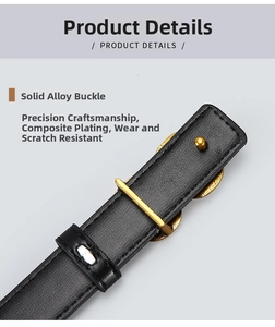 Detail of solid alloy buckle with composite plating on a slim black leather belt