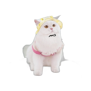 Adjustable yellow sun hat and pink harness set for cats and small dogs on white background
