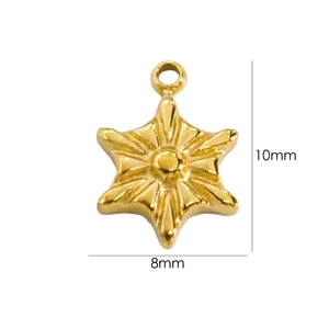 Detailed view of 14K gold star charm with clear 10mm height and 8mm width dimensions