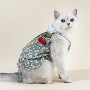 Detail view of blue floral pet dress with red cherry accent and lace collar on a cat