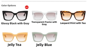 Flat lay of cat eye sunglasses in black, transparent, tortoise, tea and blue colors