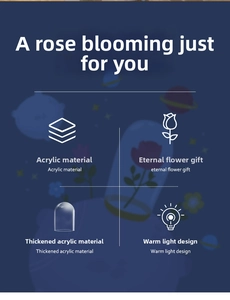 Detailed view of pink preserved rose night light with warm LED in acrylic protective cover