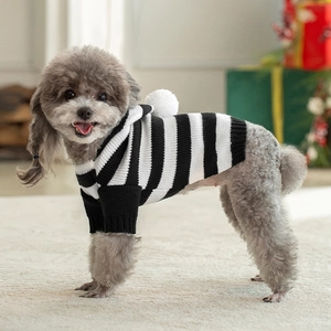 Side view of a dog wearing a black and white striped knit sweater with pom-pom hood