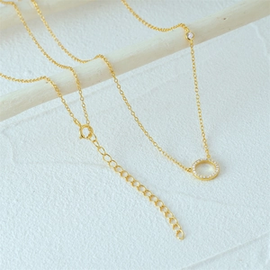 Detail of s925 silver gold-layered necklace with cubic zirconia circle pendant on white branch