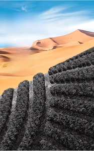 Macro detail of textured semi-circle doormat with grooved fibers for dust removal