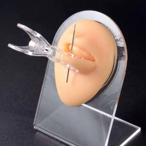 Detailed macro view of silicone ear model with acrylic stand and piercing tools