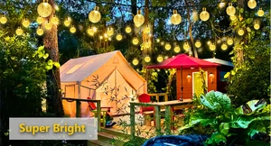 Close-up of super bright warm solar globe string lights in an outdoor camping scene