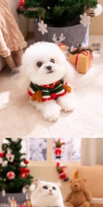 Close-up of festive red and green striped knit sweater with 3D reindeer antlers for small pets