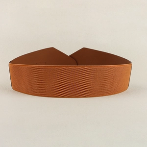 Detail of brown elastic corset belt with crocodile texture buckle and stitching
