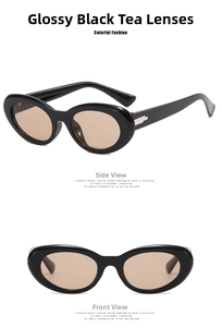 Detail view of retro oval sunglasses with shiny black frames and brown lenses