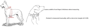 Measurement guide showing how to measure neck and chest girth for pet collars and harnesses