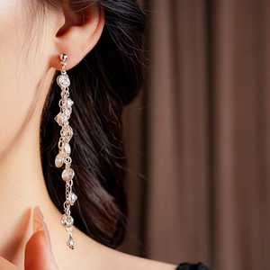 Sparkling zircon round tassel earrings with silver needle on a model closeup