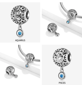 Macro detail of S925 sterling silver Aquarius and Pisces zodiac charms with blue stones