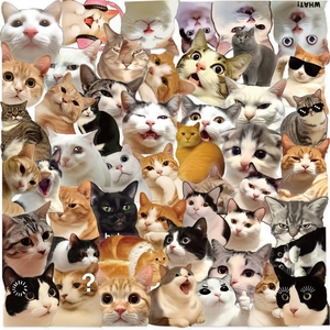 Funny Cat Meme Stickers Waterproof Transparent PET Decals For Laptop Scrapbook Guitar Phone DIY Decoration Cartoon Kitty Stickers