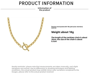 Detailed view of an 18K gold plated titanium steel chain necklace with toggle clasp closure