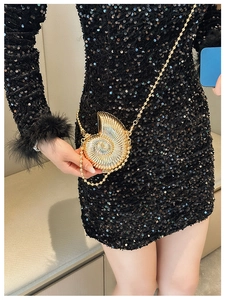 Detailed view of the luxury gold nautilus shell evening bag with golden bead chain strap