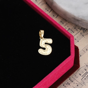 Detailed close-up of gold number 5 pendant with honeycomb texture in a velvet jewelry box