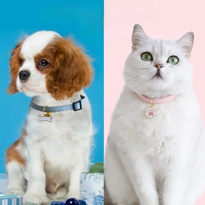 Detail view of denim blue and pink pet collars with bone and cat paw metal charms