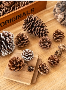 Dettaglio di pigne naturali e innevate per decorazioni natalizie rustiche