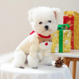 Detail of knitted pet Christmas sweater featuring a 3D Rudolph reindeer decoration