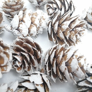 Mini 1.5-4cm natural pine cones with white snow effect for DIY Christmas home decoration