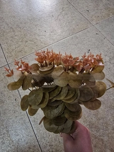 Détail d'une branche d'eucalyptus artificielle avec feuilles gris-vert et bourgeons bronze