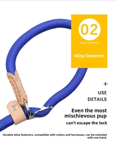 Detail of durable blue nylon dog leash with alloy buckle and leather reinforcement