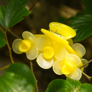 Pince à cheveux fleur en acétate jaune élégante présentée sur des feuilles vertes