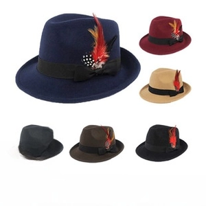 Classic wool fedora hats with side feather detail shown in multiple elegant colors