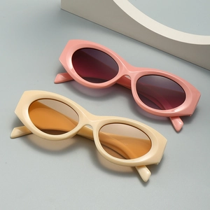 Retro Oval Sunglasses For Women Plastic Frame UV400 Protection Y2K INS Style Fashion Outdoor Eyewear