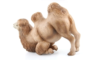 Detailed macro view of the realistic two-humped camel model in a kneeling pose