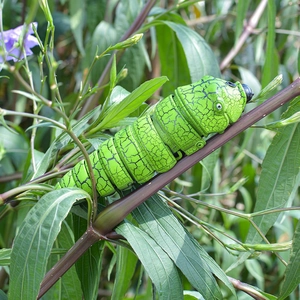 Close-up of green interactive snake cat toy with black texture on plant stem