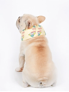 Close-up of a French Bulldog wearing a yellow cartoon print cooling neck wrap for summer