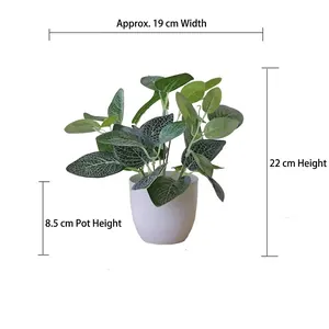 Artificial potted plant dimensions showing 22cm total height and 19cm width detail