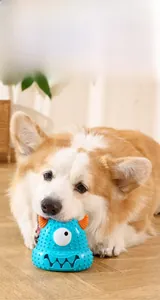 Jouet pour chien monstre bleu mâché par un Corgi sur un sol en bois véritable