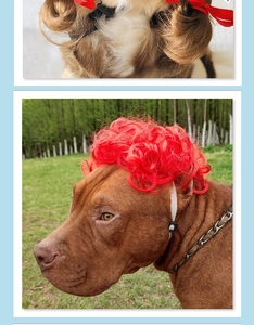 Detail of pet funny wigs with red curls and brown long hair with adjustable elastic straps
